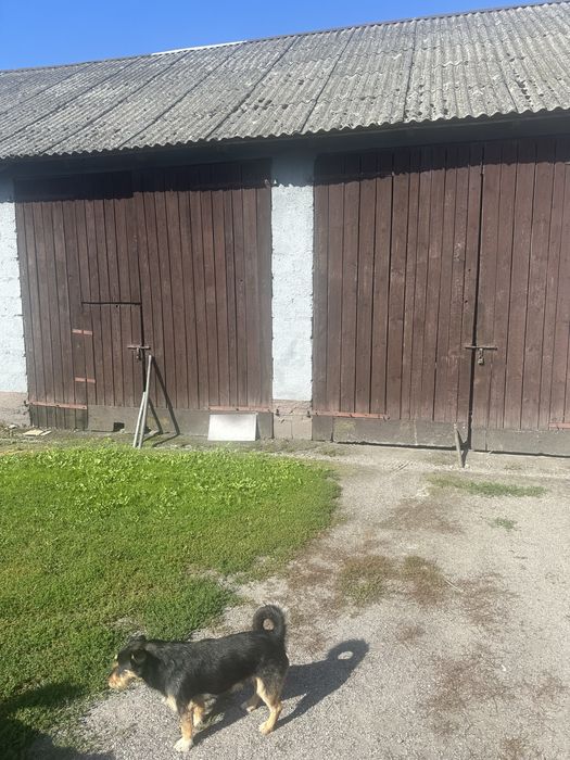 Wynajme przestrzen magazynowa na kapery lodki skutery wodne