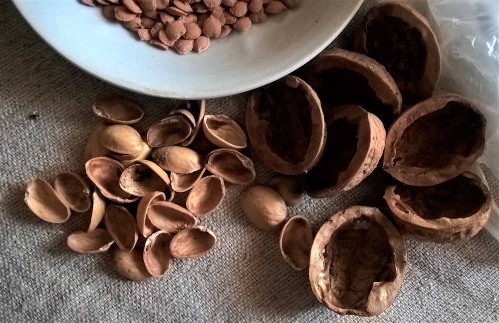 косточки  фруктовые   семечки