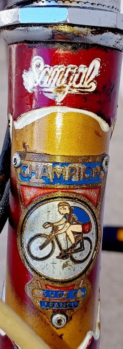 Bicicleta Pasteleira CHAMPION Super