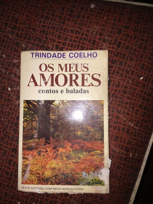 livro os meus amores contos e baladas
