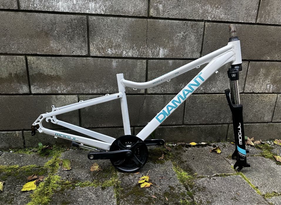 Біла рама і передня вилка горного велосипеда Diamant Mogul 1 FSD, S