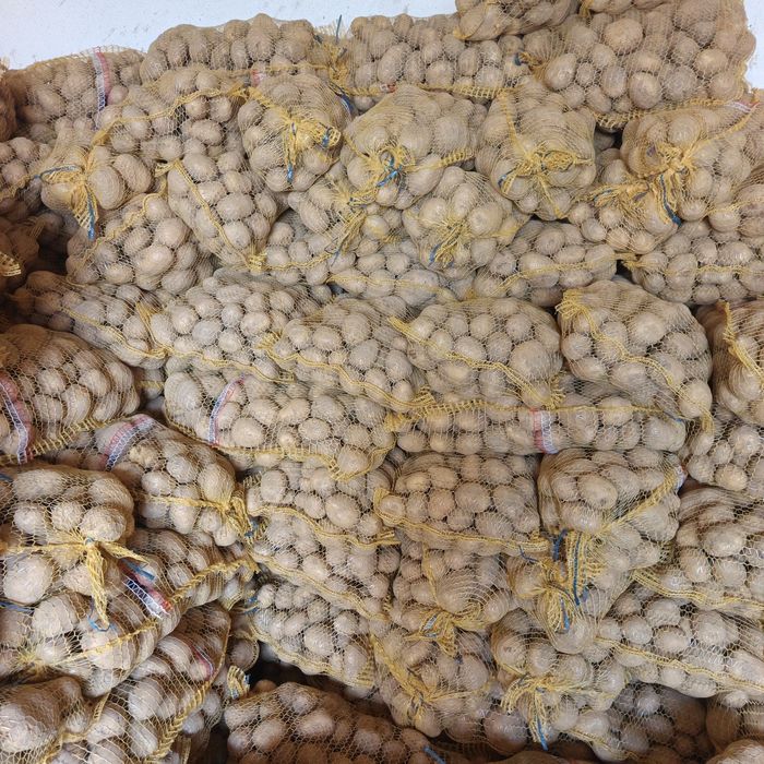 Ziemniaki Belarossa Queen Anna Soraya