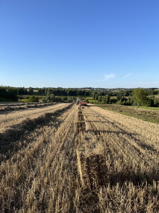 Słoma/Siano  w balikach 2025