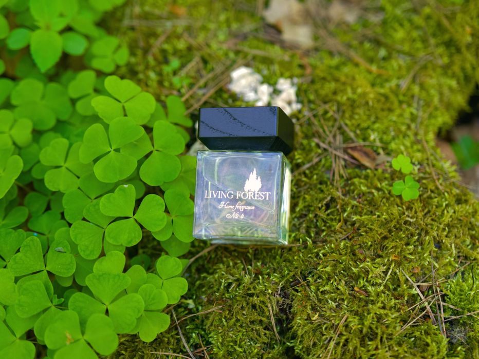 Naturalny dyfuzor zapachowy