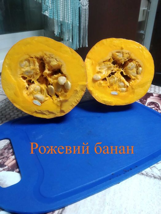 Насіння солодких гарбузів