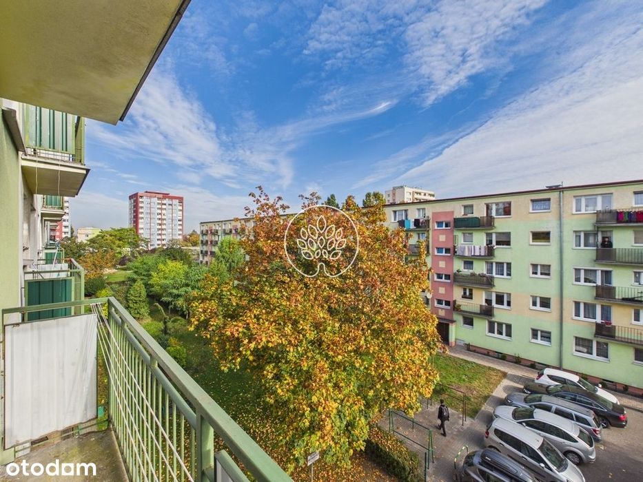 3 pokoje | 46m2 | bardzo zadbane | Błonie