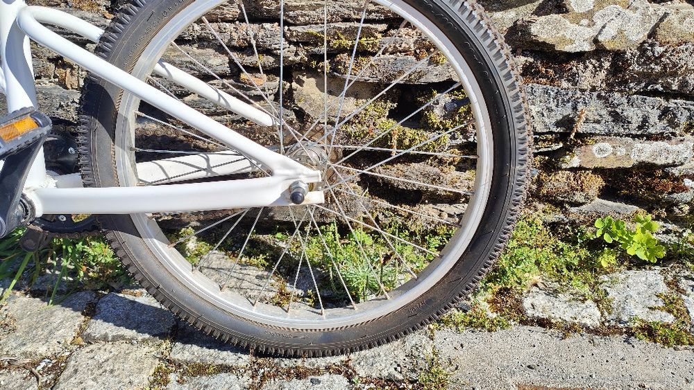 Bike para curtir a grande com o filhote !
