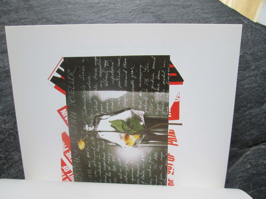 Linda Troeller: Indected With - Diário TB - SIDA