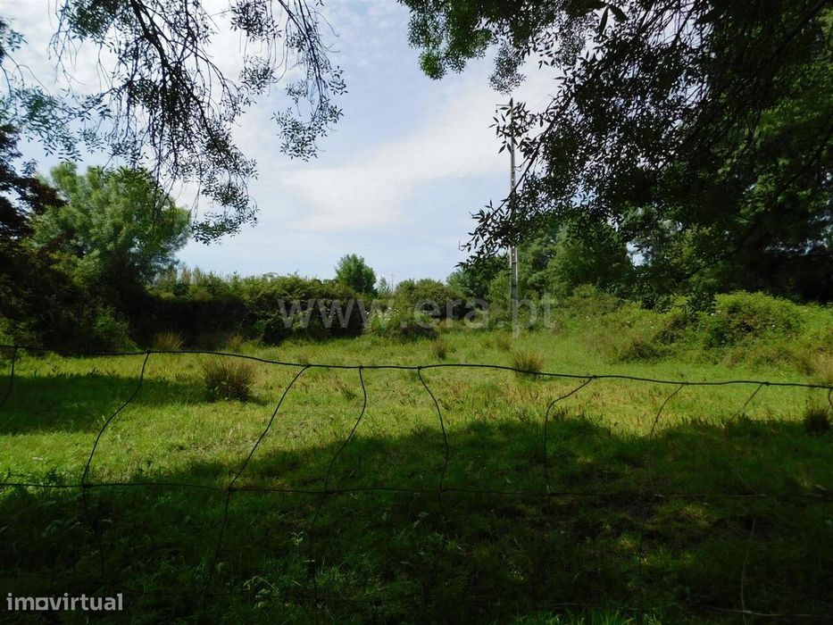 Rustic Plot / Fundão, Orca
