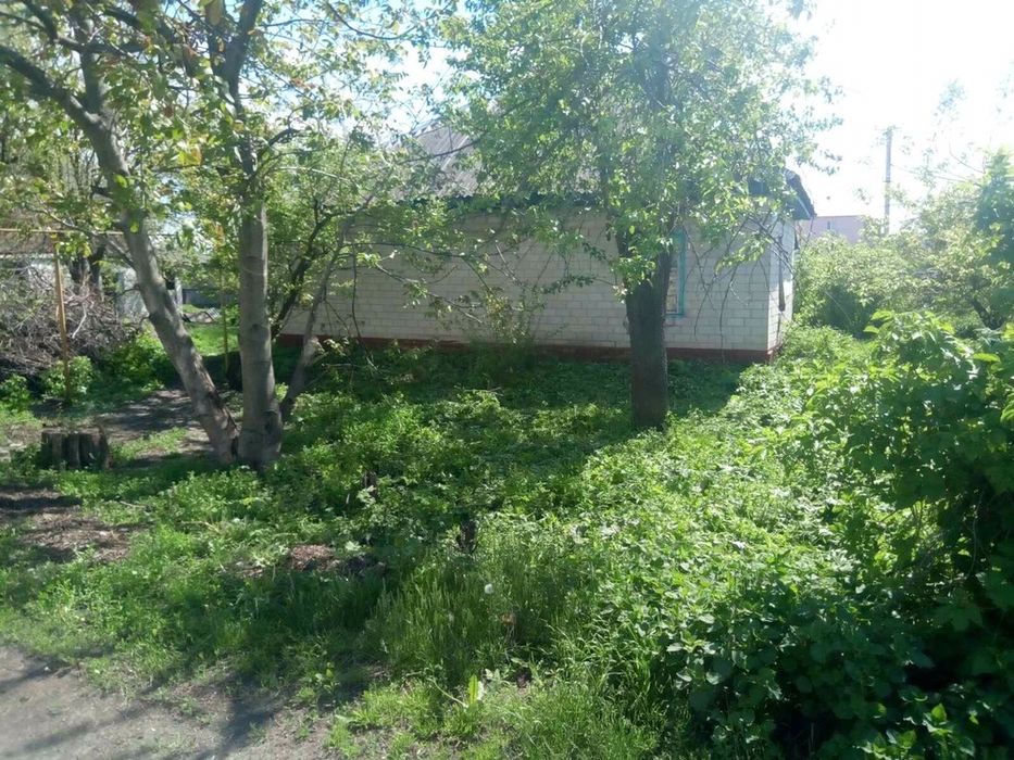 Продається будинок в центрі смт. Чорнобай