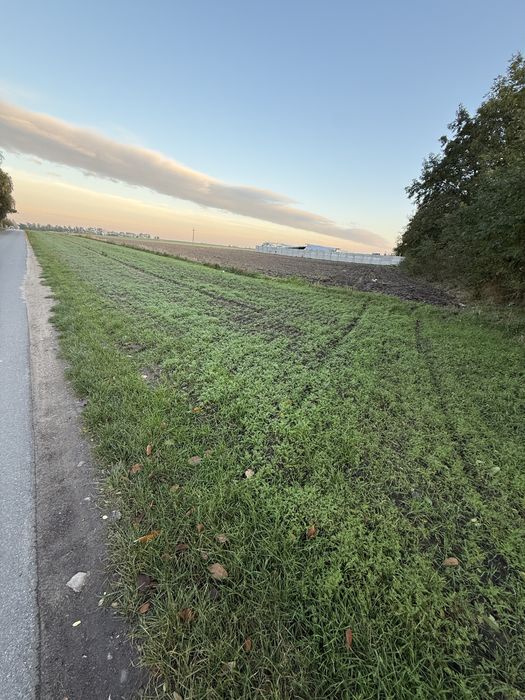 Zdjęcie 7