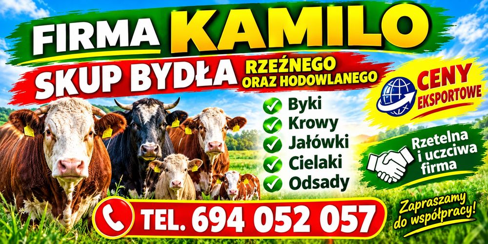 Skup zwierzat bydła zywca
