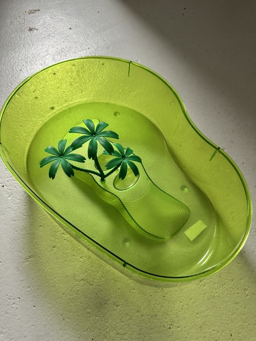 Aquário para tartaruga