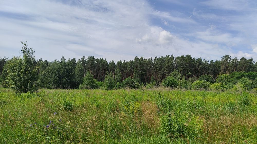 Продається земельна ділянка під забудову 25 соток