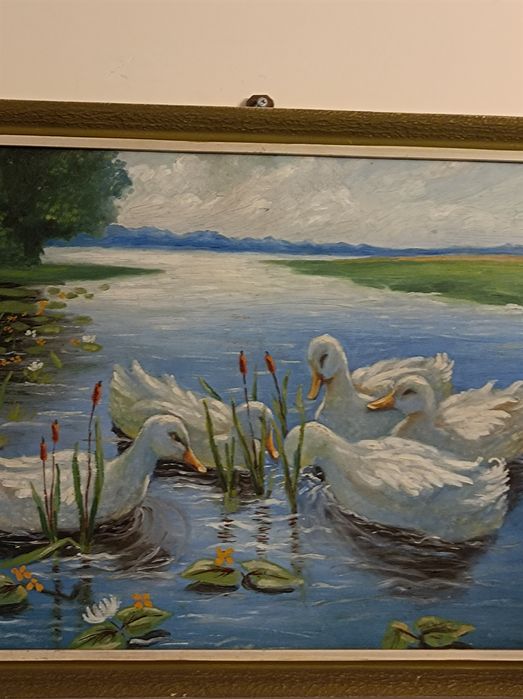 Max Koester ?.Kaczki .Obraz .Germany.