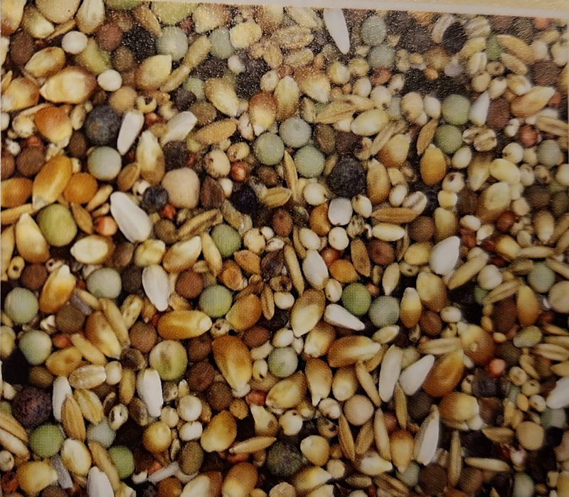 Pokarm dla krótkodziobów MDM