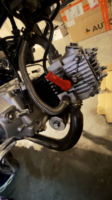 Honda dax monkey