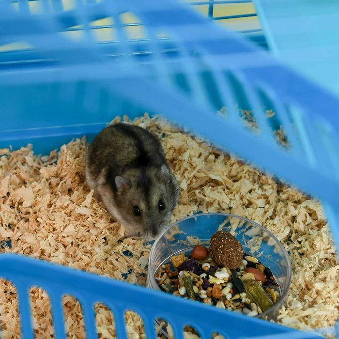 NOVO - Gaiola Hamster, Gerbo 47x30x59cm