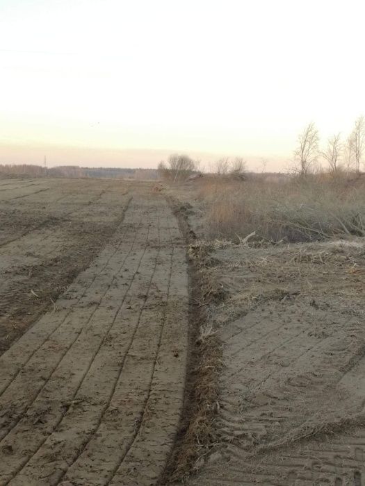 Czyszczenie Działek. MULCZER LEŚNY. Rekultywacja Terenu