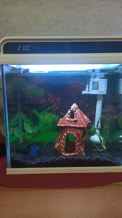 Продам технологичный  аквариум на 12 л