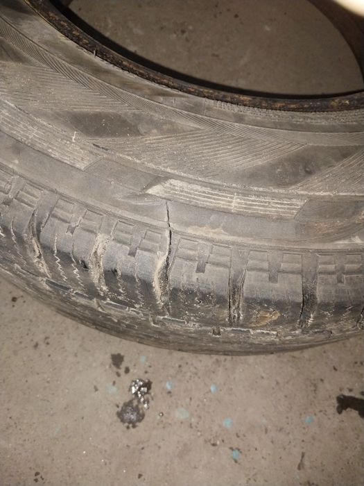 Продам шину HANKOOK