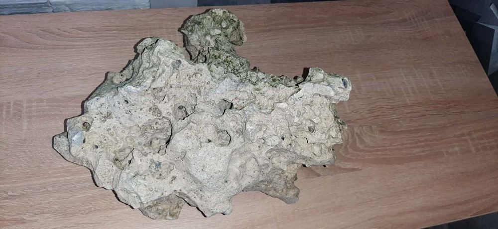 Skała do akwarium z kryjówkami