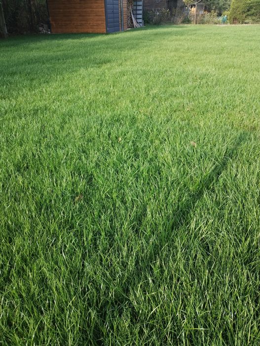 Usługi Ogrodnicze., Zakładanie Ogrodów