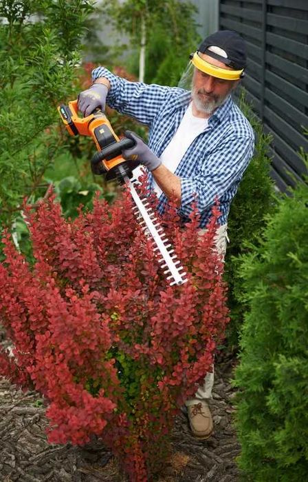 Кущоріз акумуляторний SEQUOIA SBHT2020T-QV