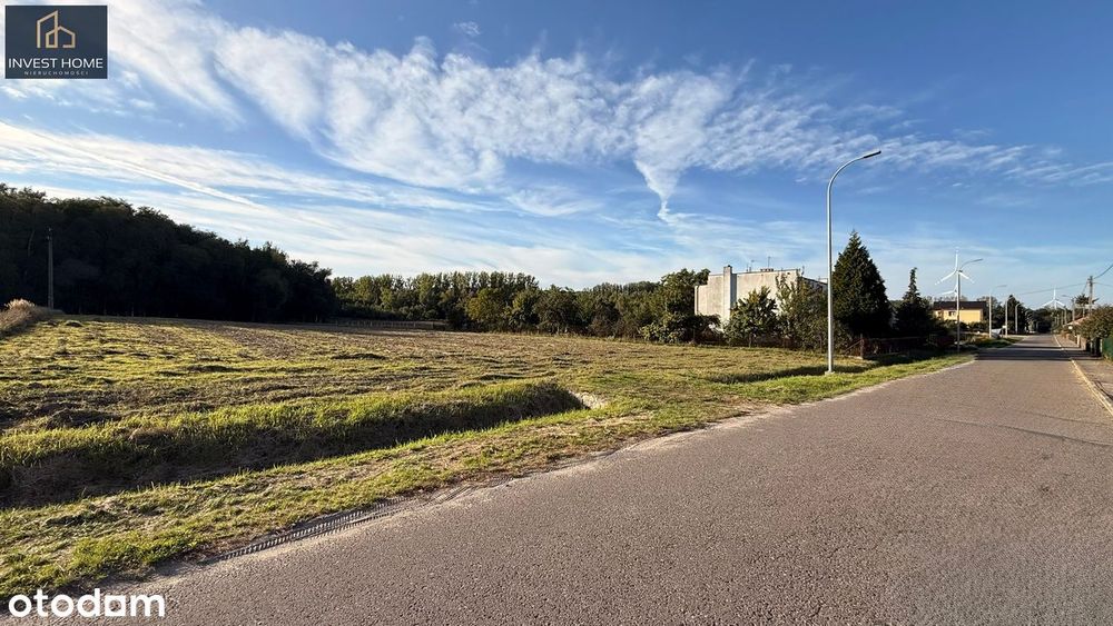 Duża działka 3614 m² przy lesie | Jóźwin | MPZP - Widok 3