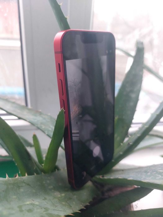 Ipiphone 13mini 128gb