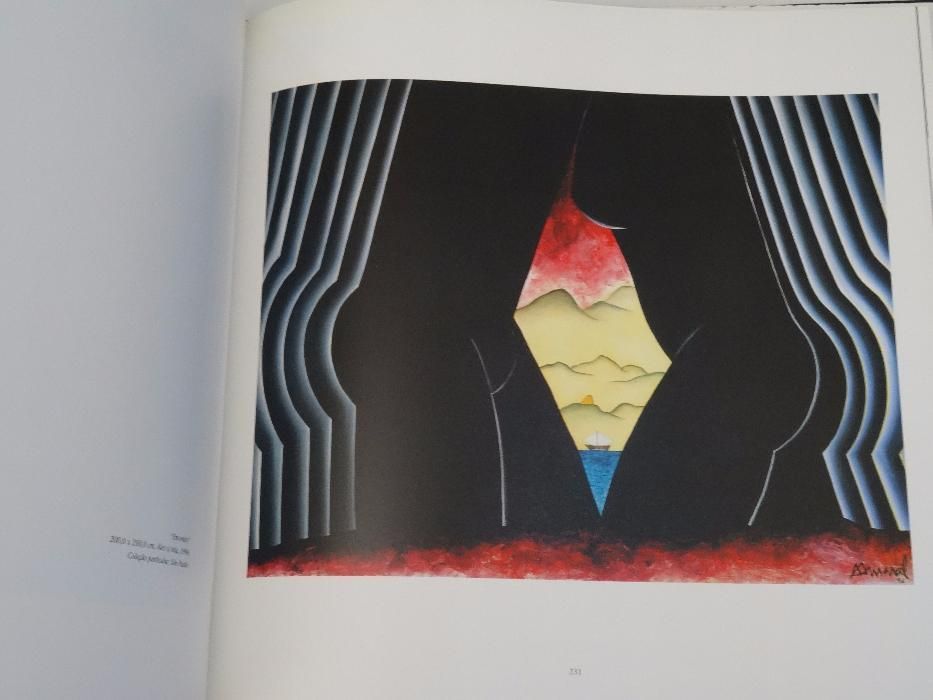 Obra Em Processo Antonio Henrique Amaral