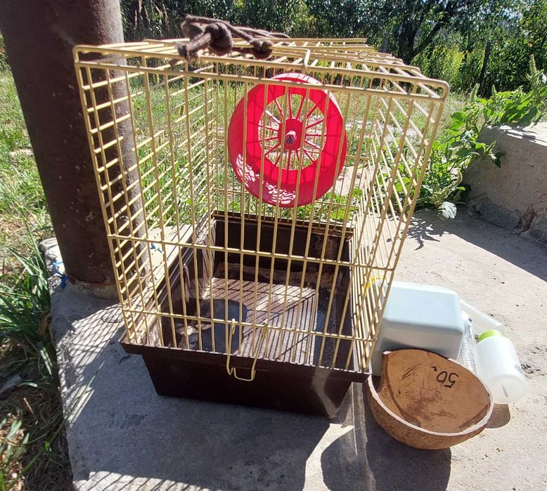 Клітка для хом'яка