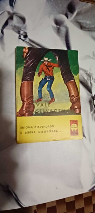 Livro _Vale Selvagem_ de Peter Kapra