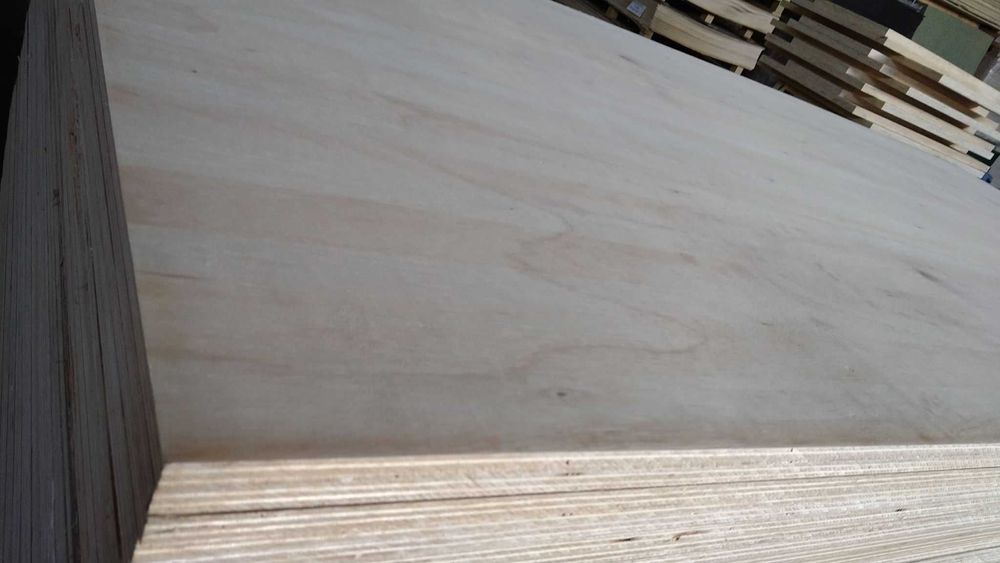 Bardzo lekka sklejka egzotyczna do zabudowy kamperów - FALCATA 12mm