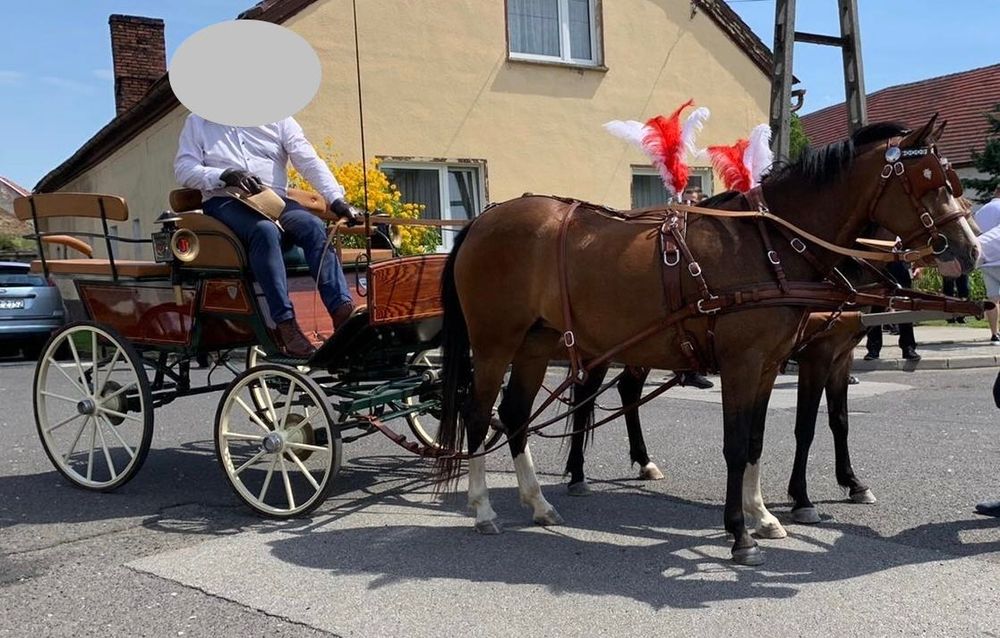 Bryczka Wagonetka – firmy ECC, model Elegant, w idealnym stanie