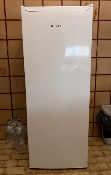 Arca de congelação Silver de 168 litros