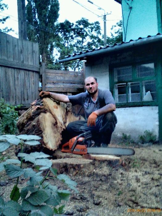 Обрезка аварийных веток. Дробление веток. Спил деревьев, пней.