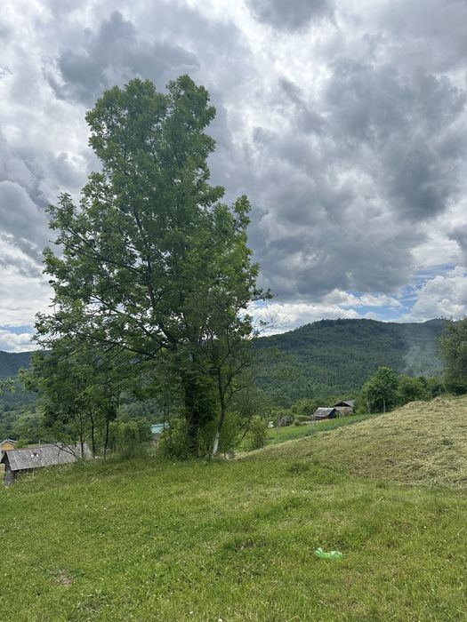 Земельна ділянка з панорамним краєвидом