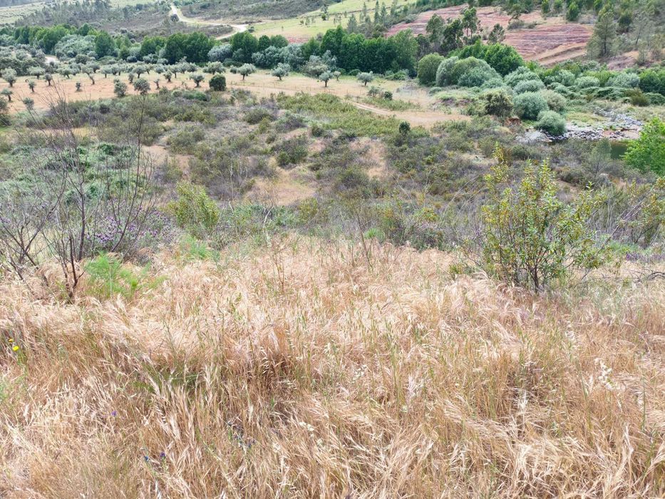 Terreno 8.200 m² — 4 parcelas rústicas com frente de estrada, perto da albufeira Açafal | Vila Velha de Ródão