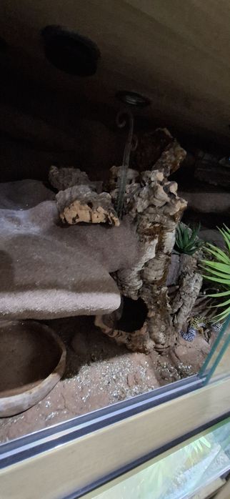 Terrarium z płyty meblowej