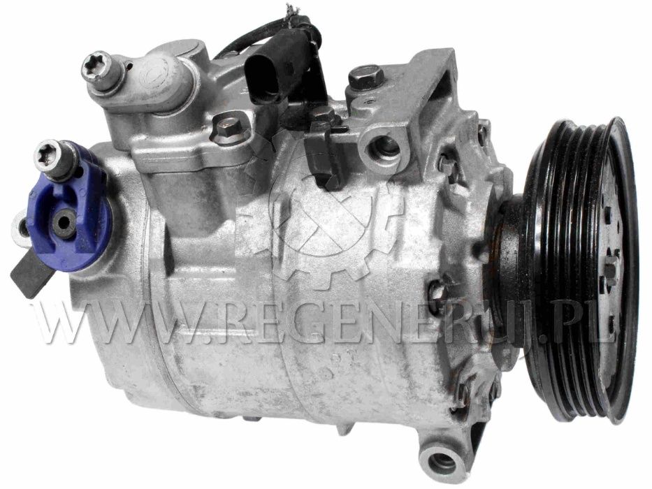 Domniemany Pocisk Hassy Kompresor Do Klimatyzacji Audi A4 B6 Crisisresiliencesurvival Com