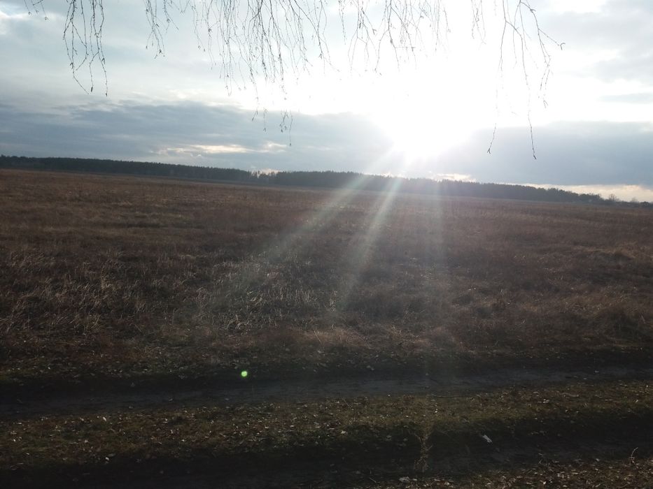 Земельна ділянка