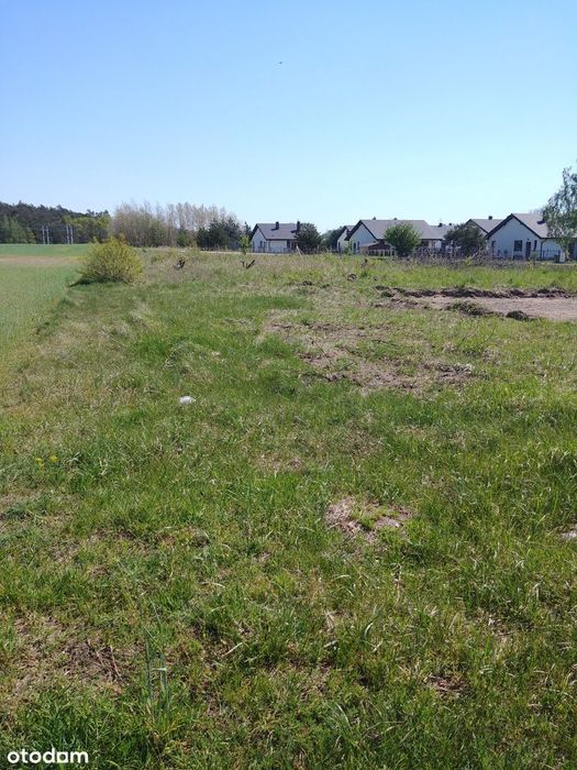 Sprzedam działkę budowlaną – Golina-Kolonia - blisko m. Konin - View 3