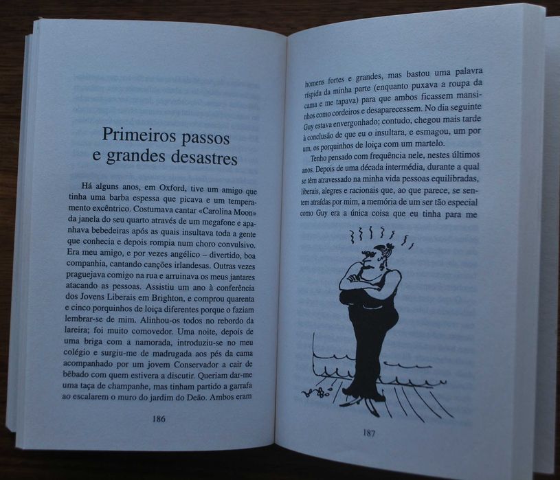 Como (Não) Ser Uma Mãe Perfeita de Libby Purves