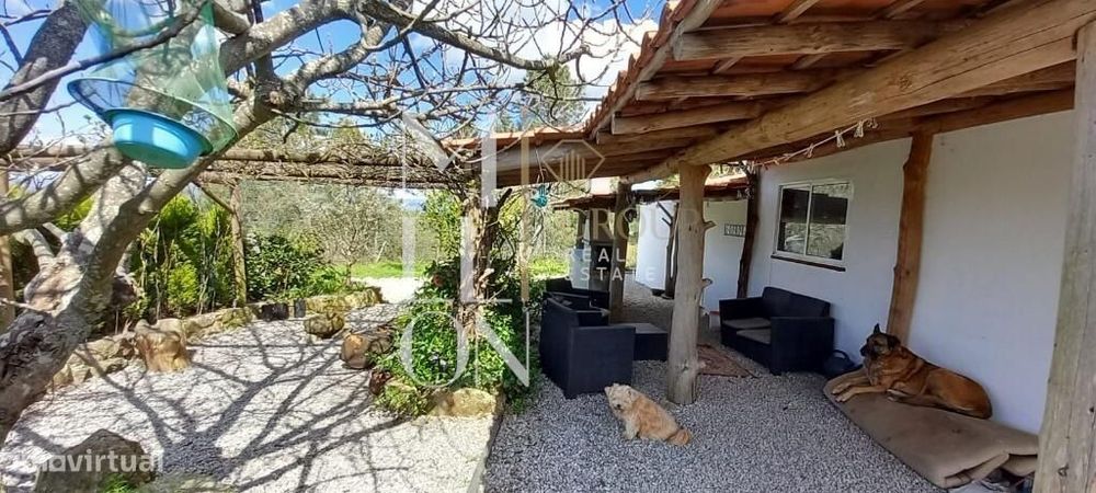 Quinta com casa renovada recentemente