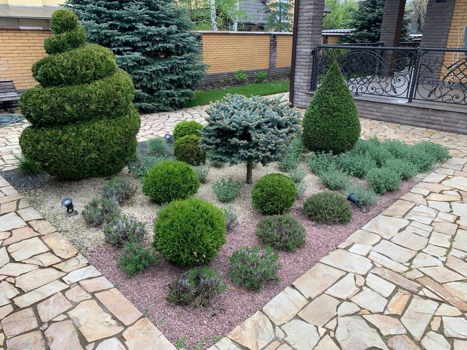 Автополив. Газон. Благоустрій