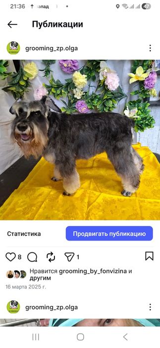 Стрипінг професійно