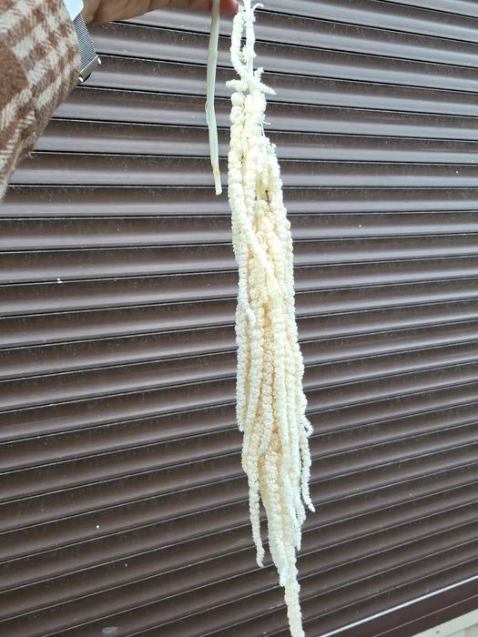 Сухоцвіти лагурус стабілізована гортензія гіпсофіла опт рускус гліксія