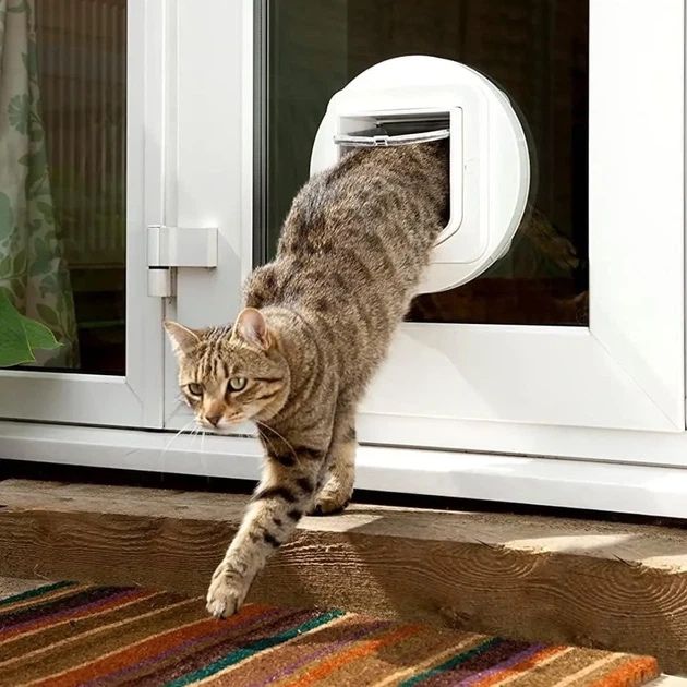 SureFlap розумні дверцята для кота з мікрочіпом