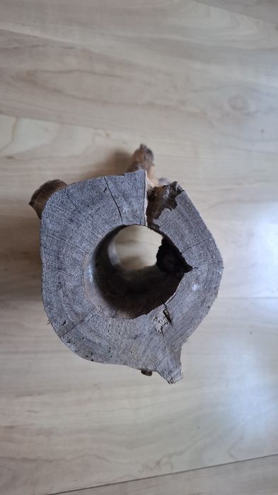 Wyposażenie terrarium, konar, drapak